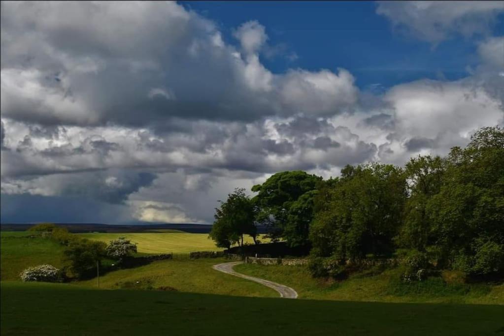 Large Countryside Home Tow Law Bagian luar foto